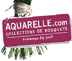 More about aquarelle